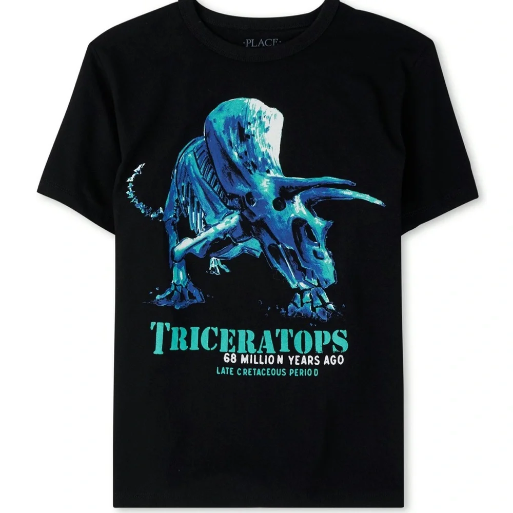 ⬇️ 2/$25 Listing- New The Children’s Place Boys Triceratops Graphic Tee